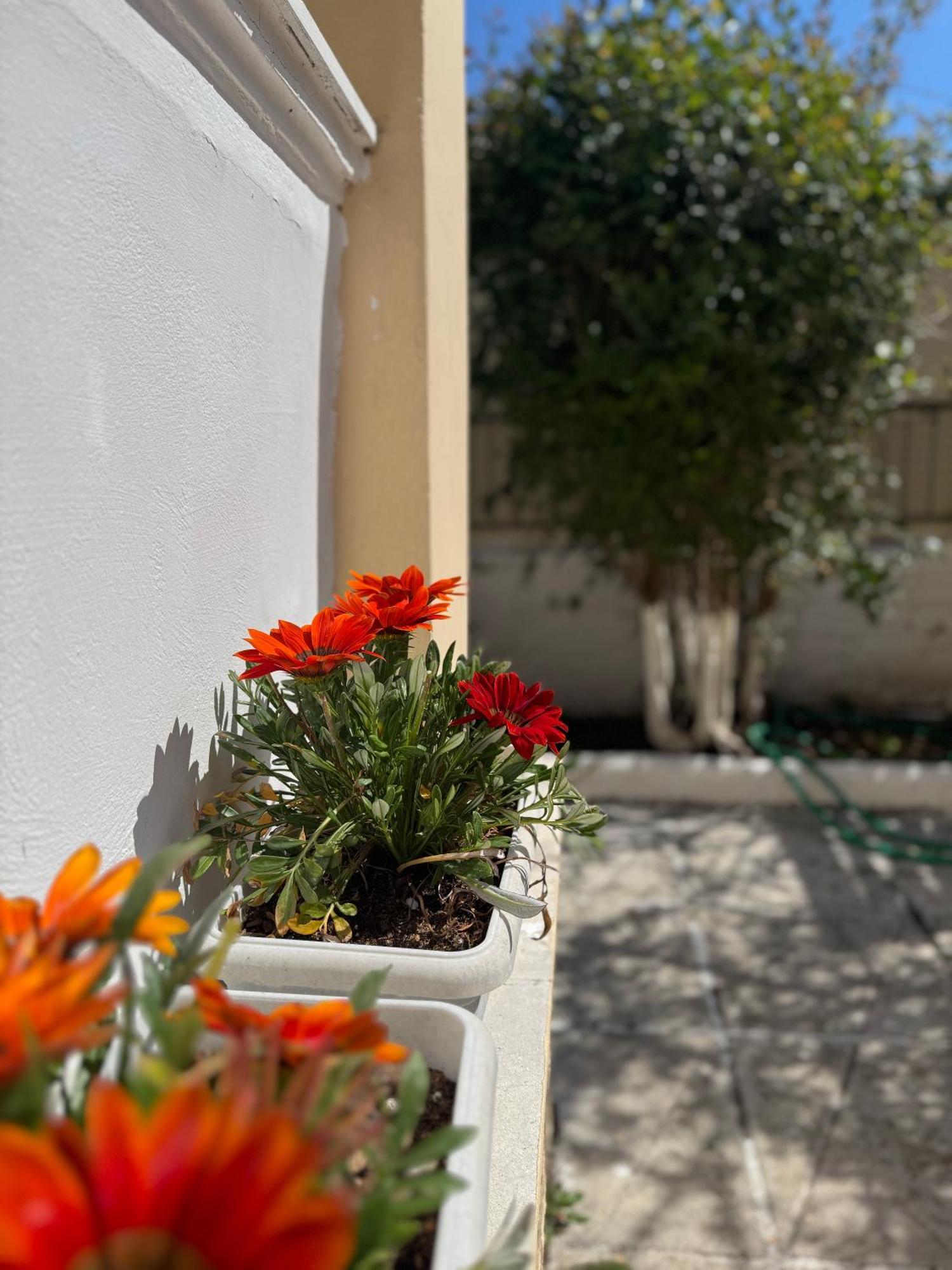 Corfu-Apartments4You Acharavi  Bagian luar foto